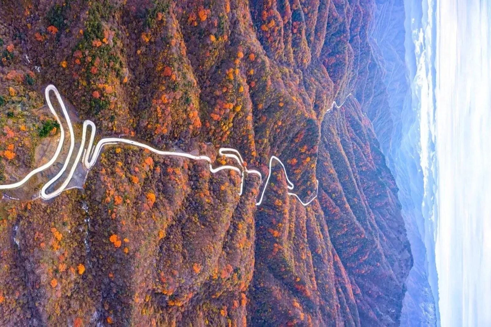 Qin Mountains | South-North Border