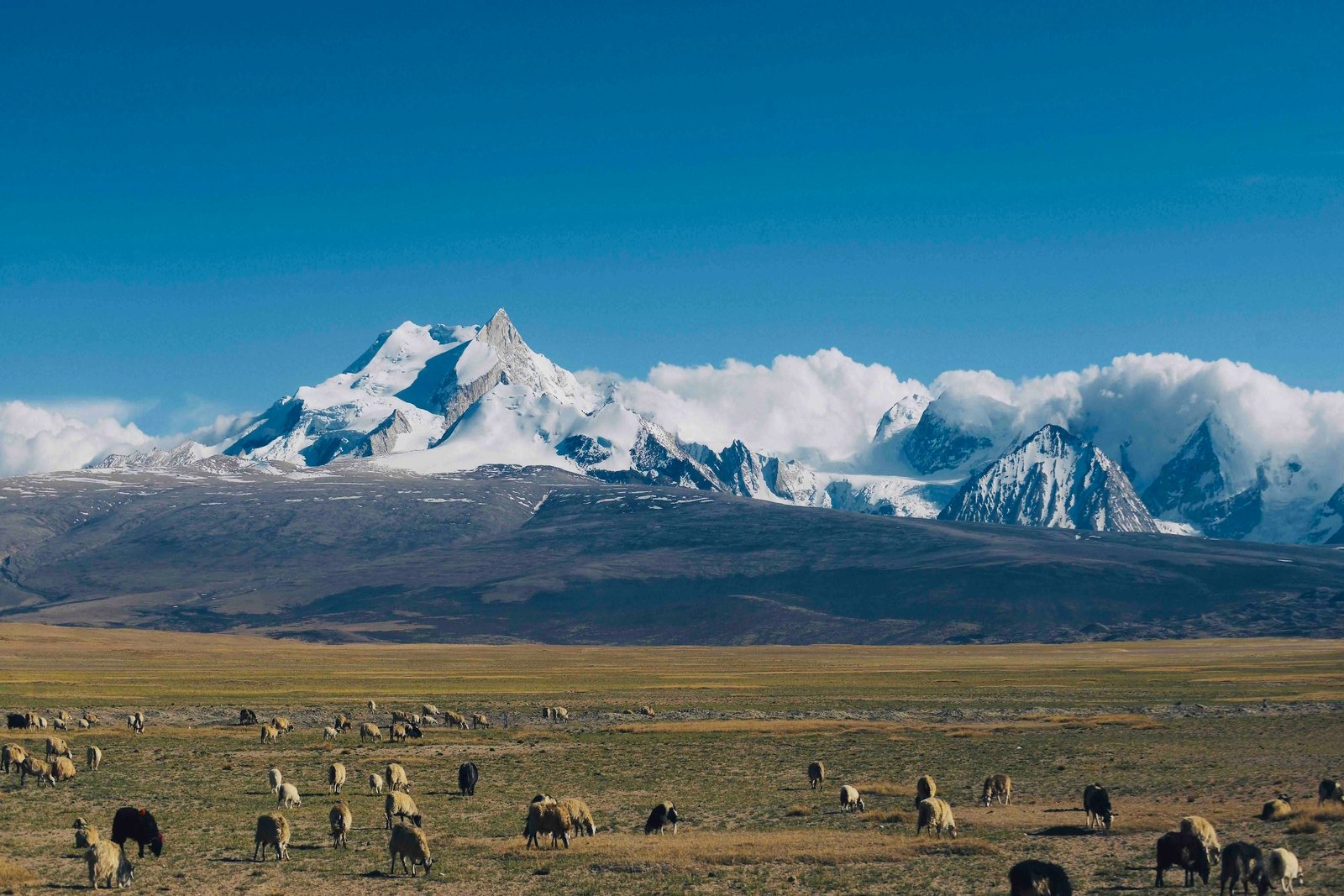 Mt.Shixiapangma | Tibet